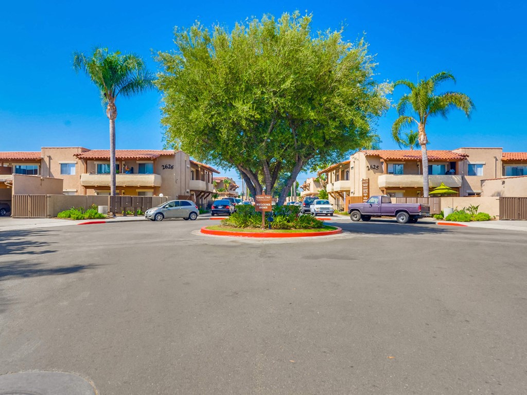 SpringTree Apartments Exterior View