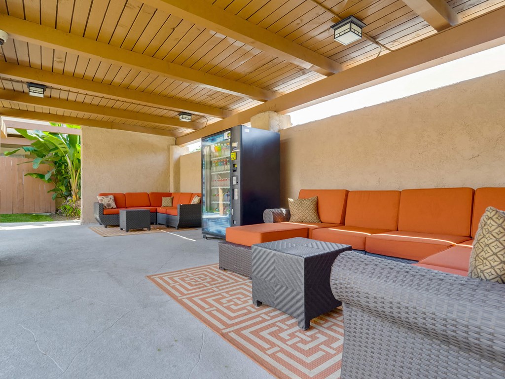 SpringTree Apartments Lifestyle - Outdoor Lounge Area