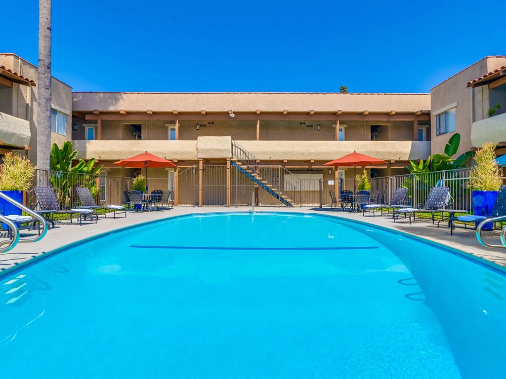 SpringTree Apartments Lifestyle - Pool