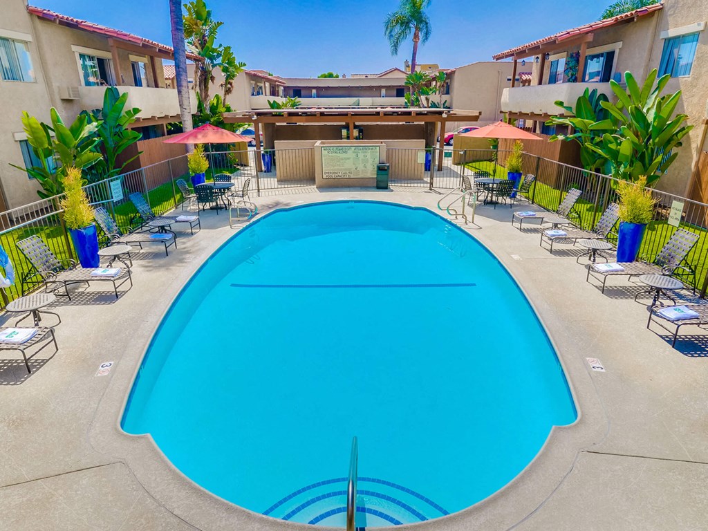 SpringTree Apartments Lifestyle - Pool & Pool Deck