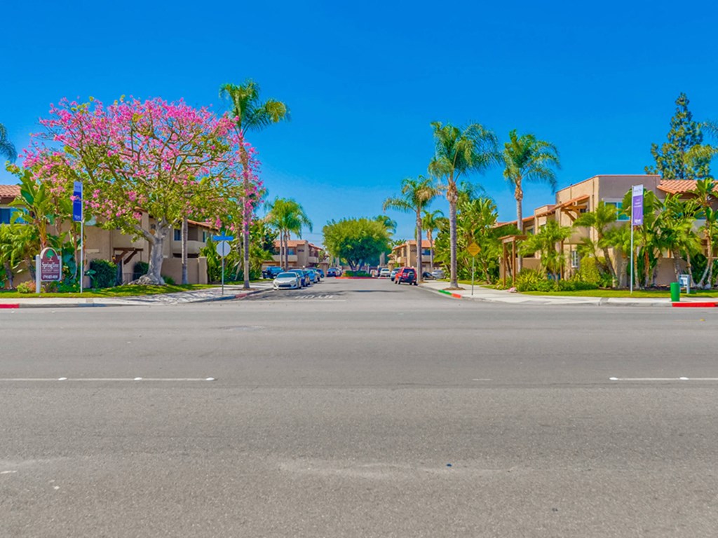 SpringTree Apartments Exterior Street View