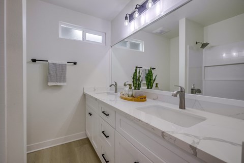 A white bathroom with a sink, mirror, and a plant.