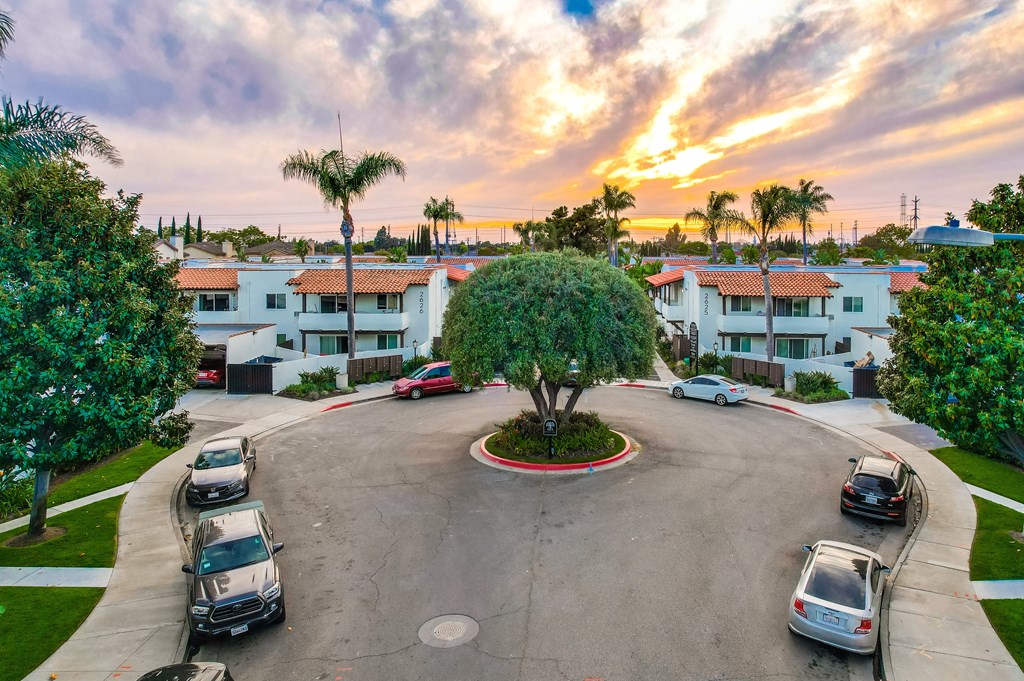 VIVA Apartment Homes