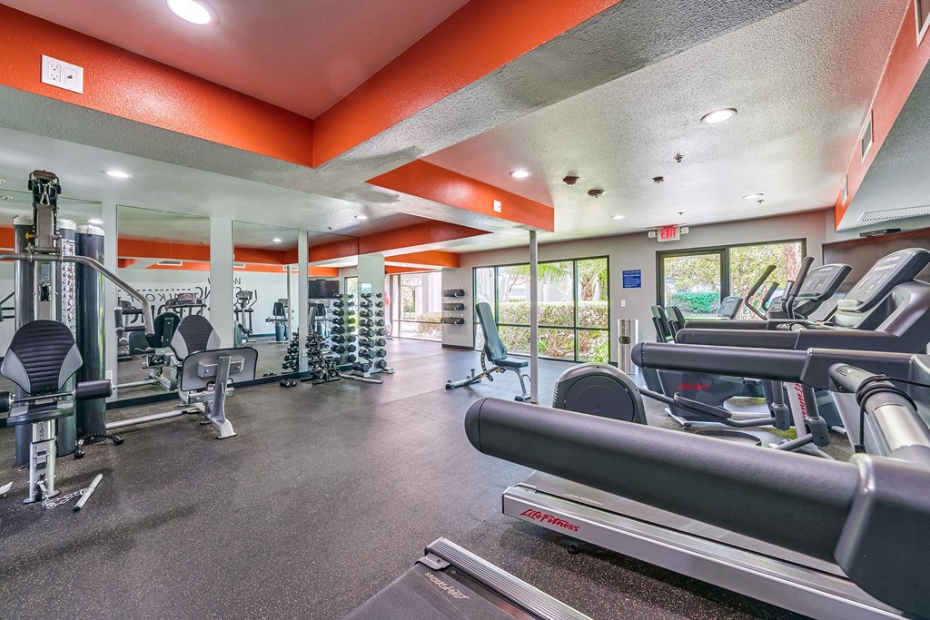 a gym with cardio equipment and weights