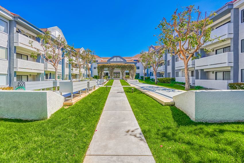a grassy area with benches and trees in front of a building
