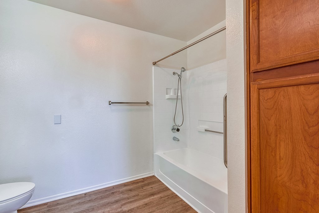 a bathroom with a bathtub and a toilet