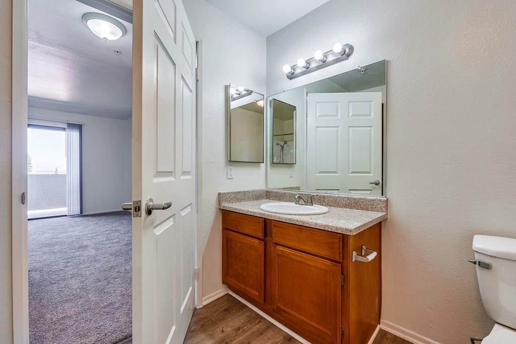 a bathroom with a sink and a toilet