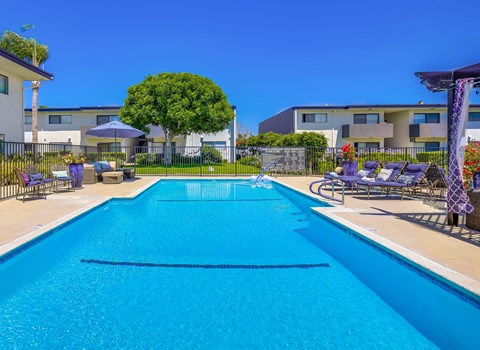 A large blue swimming pool with a black fence and a tree in the background.