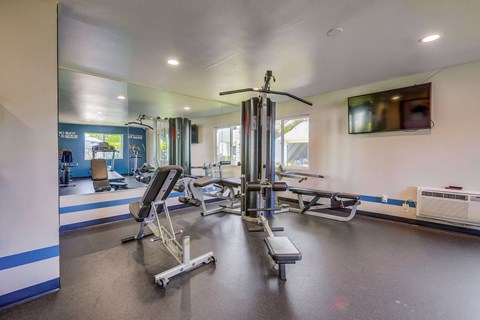 A gym with a variety of equipment including a treadmill, a bench press, and a squat rack.
