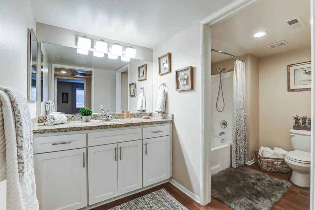 a bathroom with a sink and a shower and a toilet
