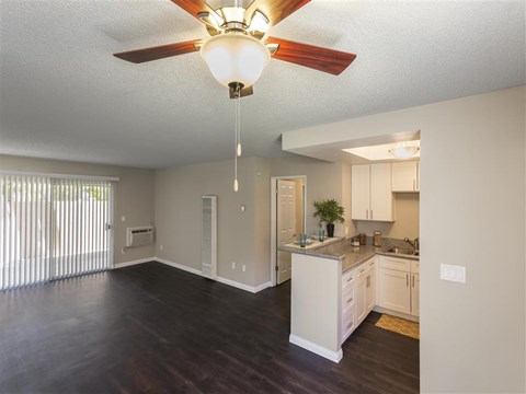 SpringTree Apartments Empty Apartment Kitchen