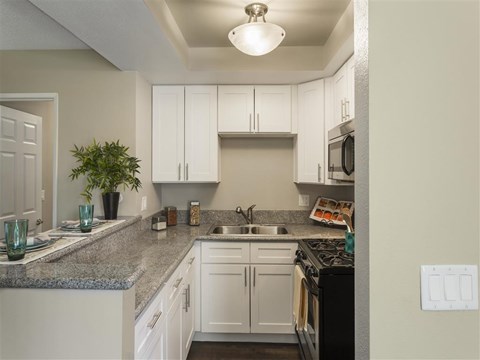SpringTree Apartments Empty Apartment Kitchen