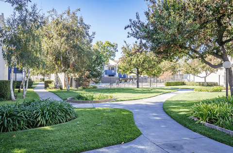 A tree-lined walkway curves through a well-kept park.