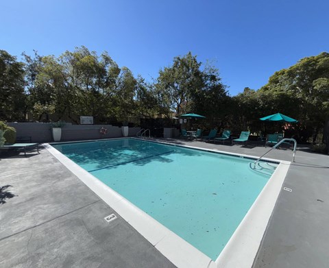 A large outdoor swimming pool surrounded by trees and lounge chairs.