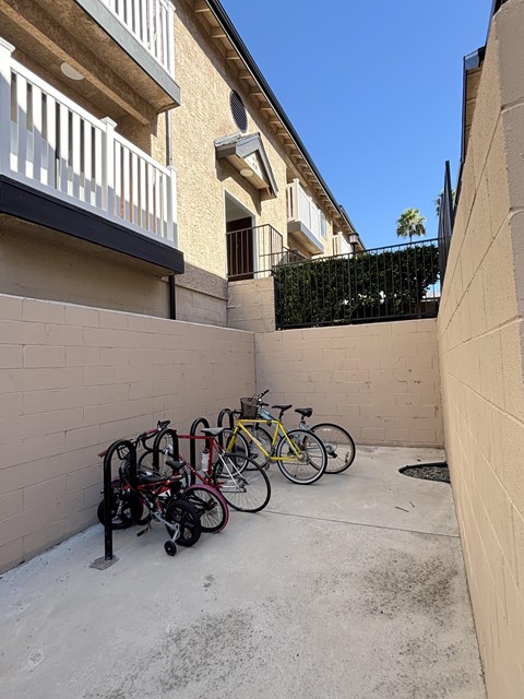 A row of bicycles are parked on a concrete patio.