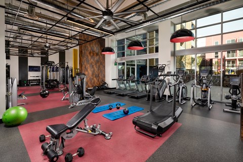A gym with a variety of equipment including weights and cardio machines.