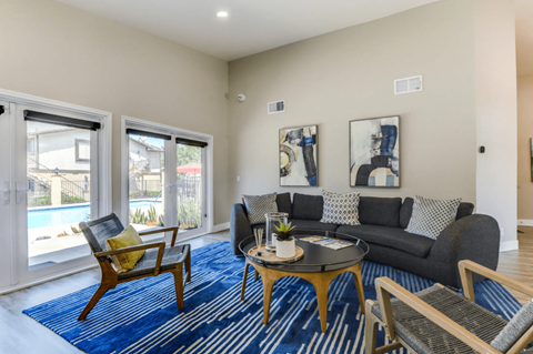 A living room with a blue rug and a grey couch.