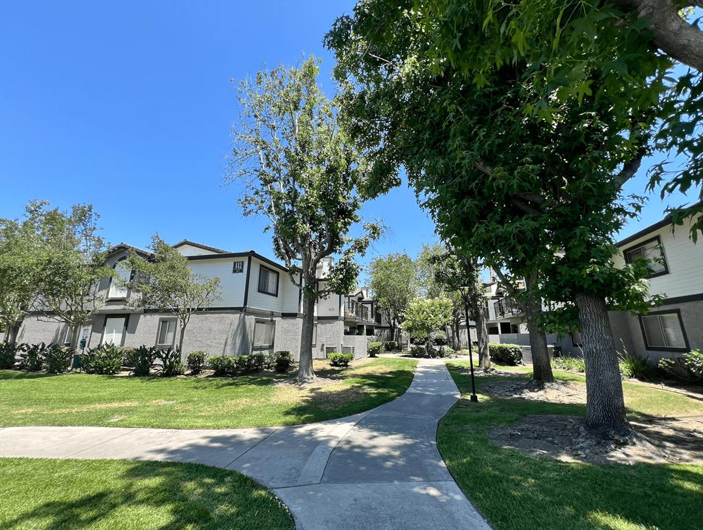 a tree lined sidewalk in front of some apartments