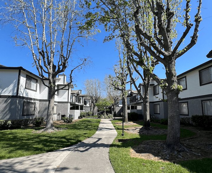 a tree lined sidewalk in the middle of an apartment complex