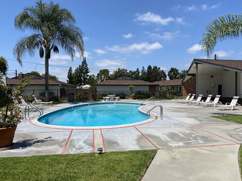 A pool surrounded by a concrete patio and a white fence.