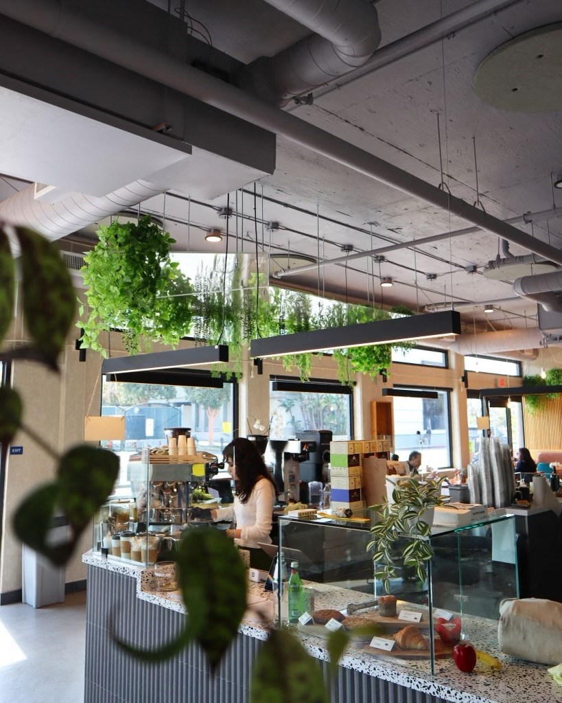 a woman working in a restaurant with plants hanging from the ceiling