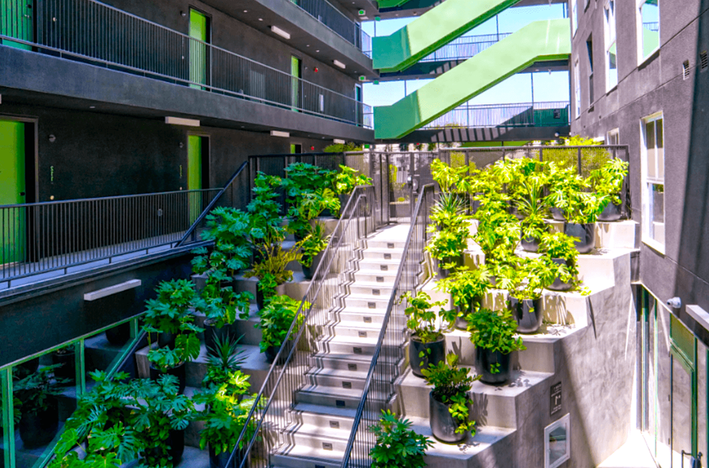 an interior shot of a building with stairs and potted plants
