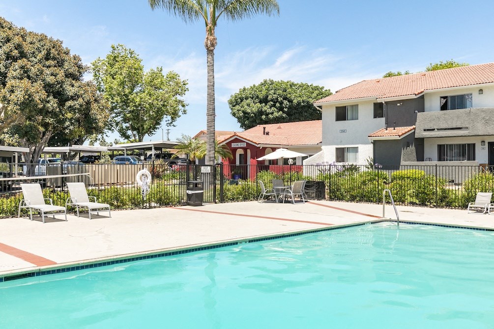 a swimming pool with lounge chairs and a palm tree in the background