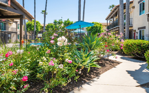 A garden with a variety of flowers and plants.