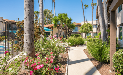 A garden with a walking path and a pool in the background.