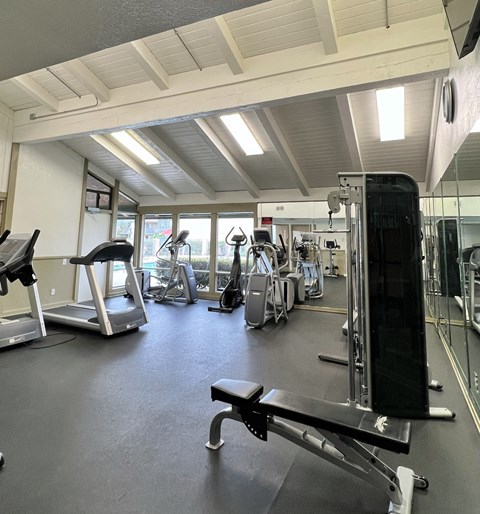 A gym with treadmills, weights, and other exercise equipment.