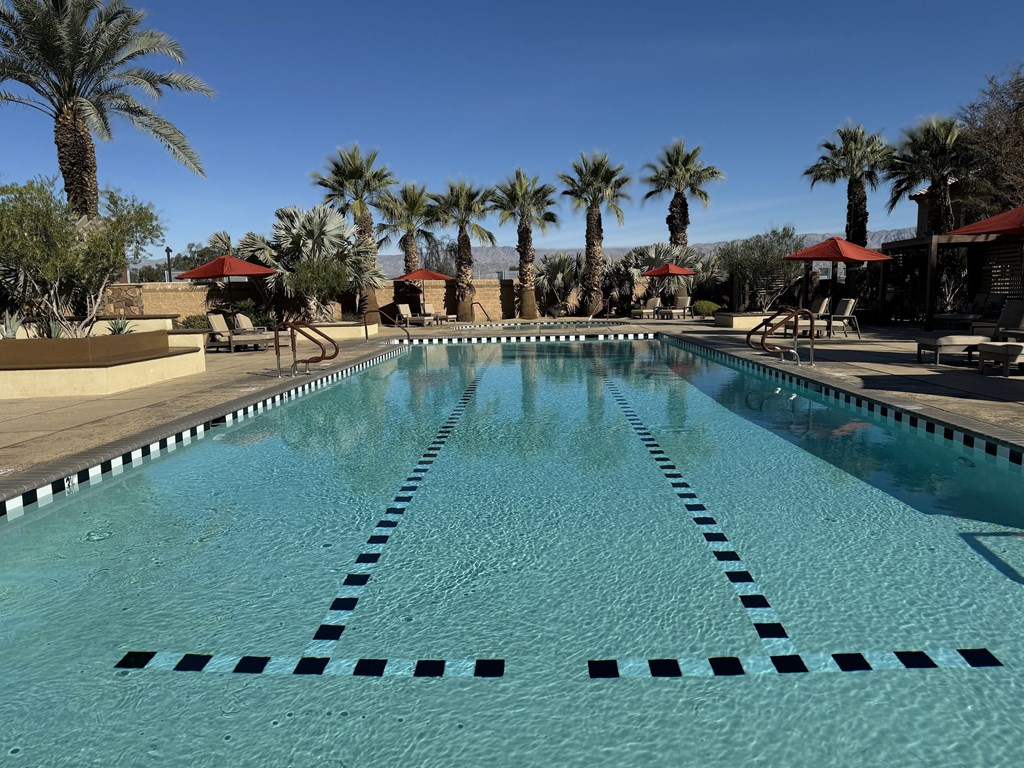 a large swimming pool with palm trees in the background