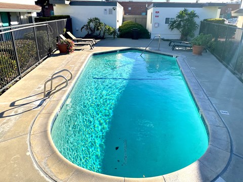 A small residential pool with a concrete edge and a metal fence surrounding it.