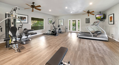 Modern gym with large windows, mirrors, and updated equipment