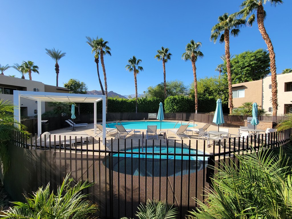 a large pool with chairs and umbrellas and palm trees