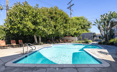 A small pool with a blue tinted water surrounded by trees and chairs.