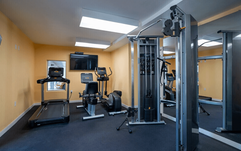 A gym with treadmills, weights, and exercise machines.