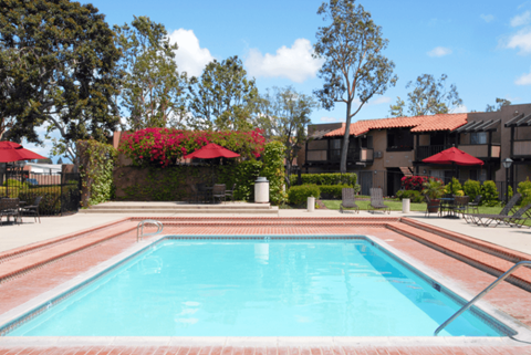 A swimming pool surrounded by a red tile border.