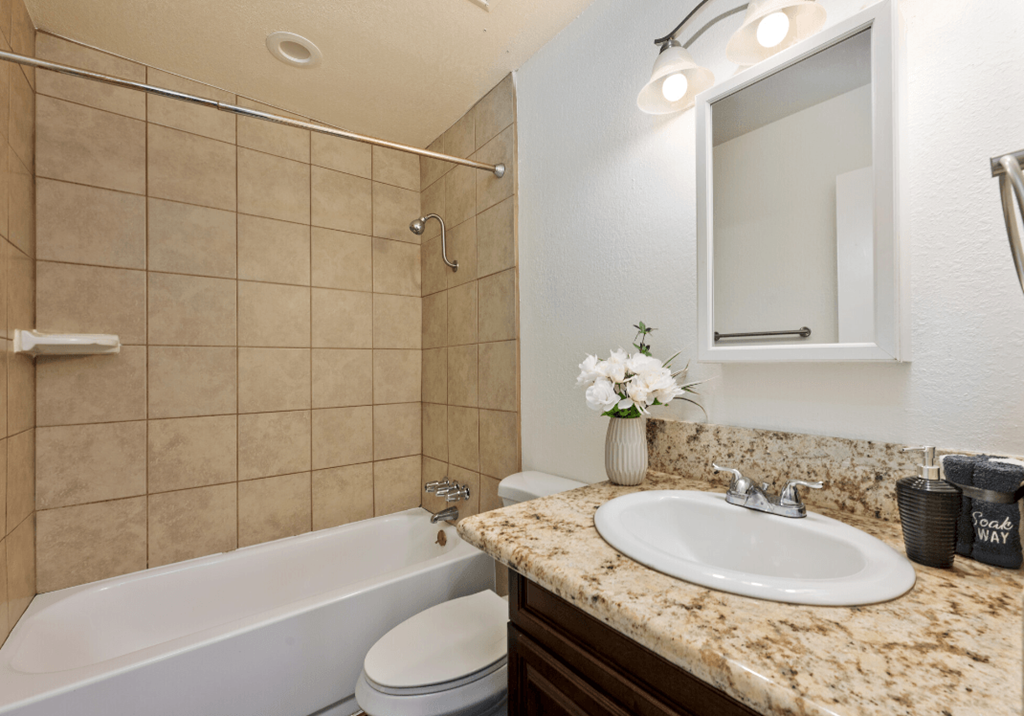 a bathroom with a sink and a toilet and a tub