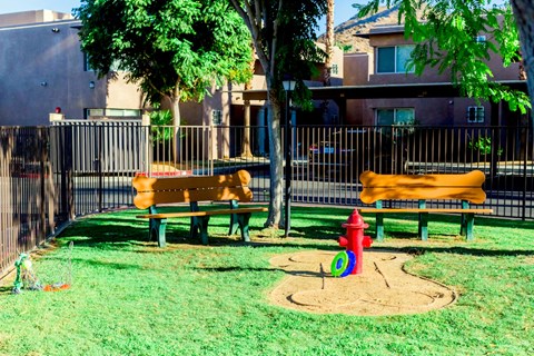 dog park at  Villa Boutique Apartment Homes in Palm Springs California.