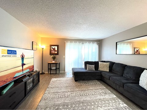A living room with a black couch and a television.