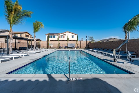 A large swimming pool surrounded by palm trees and lounge chairs.