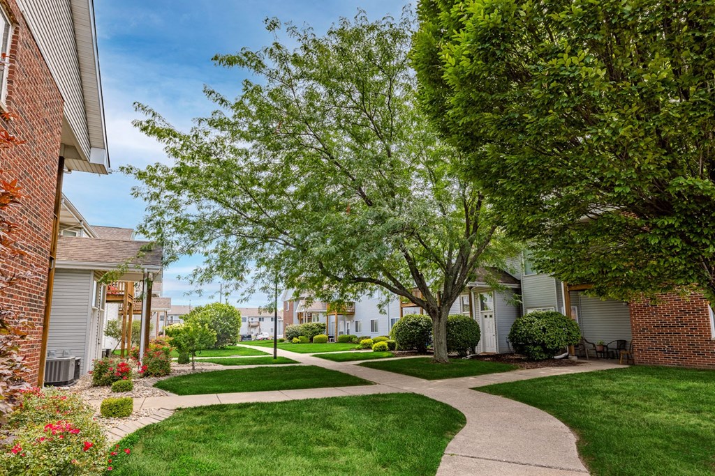 a tree lined sidewalk in front of some houses
