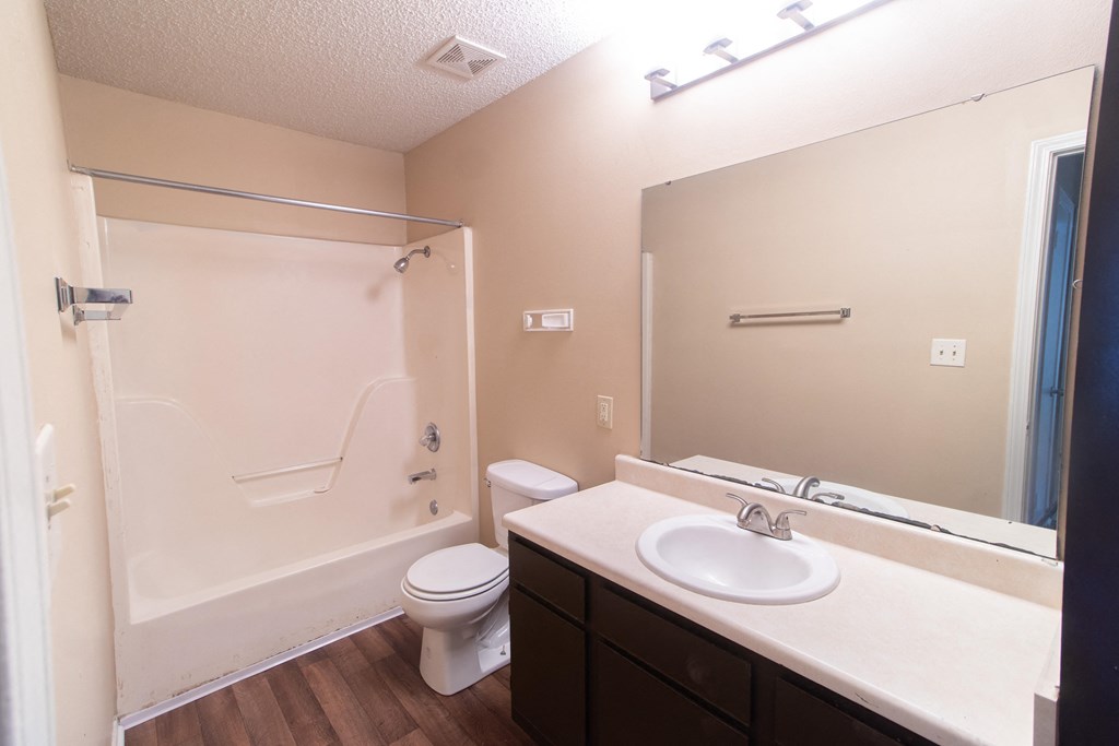 The Village Apartments Conway, AR Bathroom