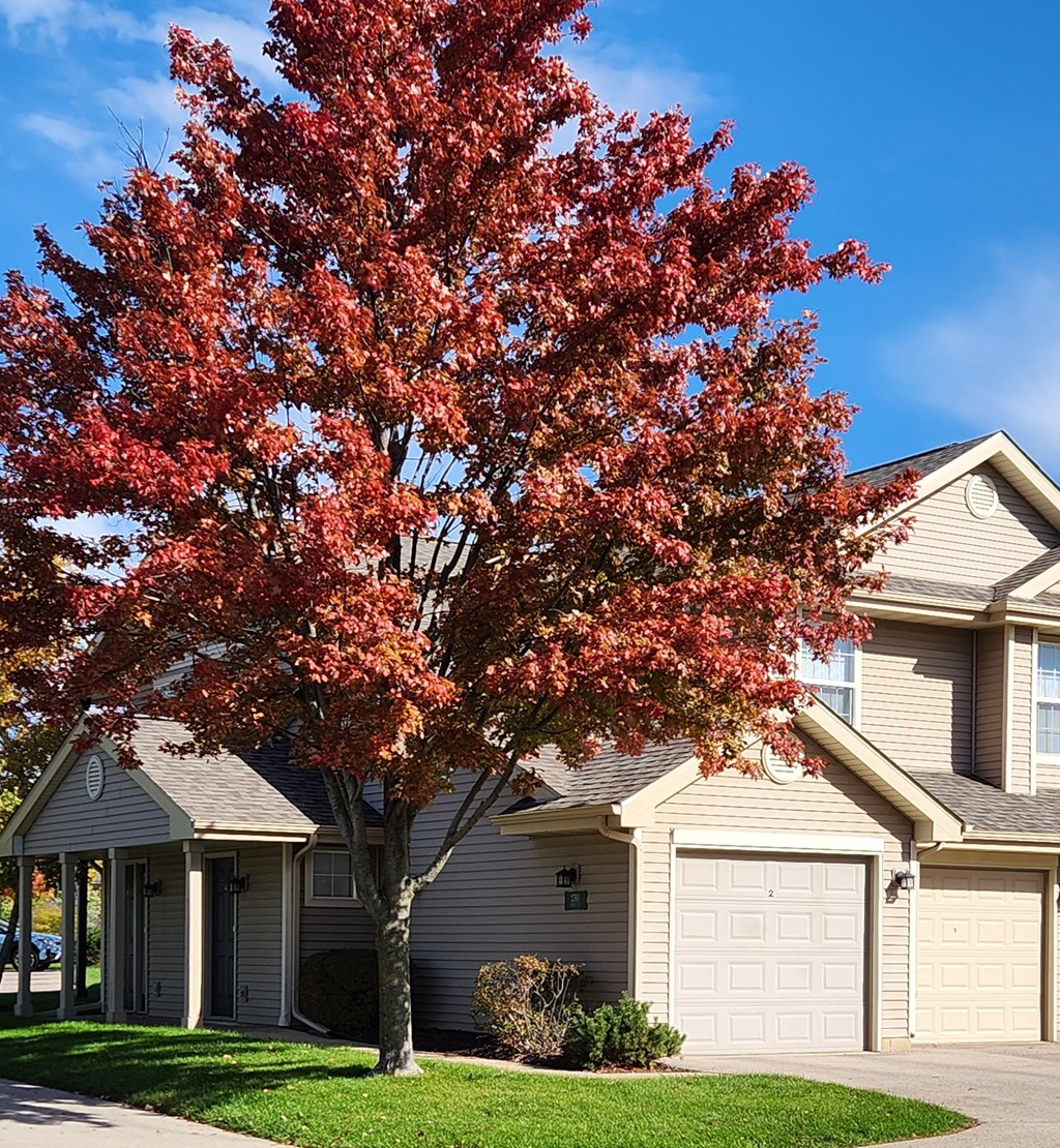 a tree with red leaves in front of a house