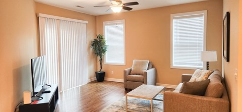 A living room with a television, two chairs, a couch, and a potted plant.