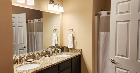 A bathroom with a double sink vanity and a large mirror.