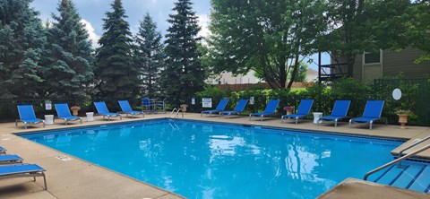 A large swimming pool surrounded by trees and lounge chairs.