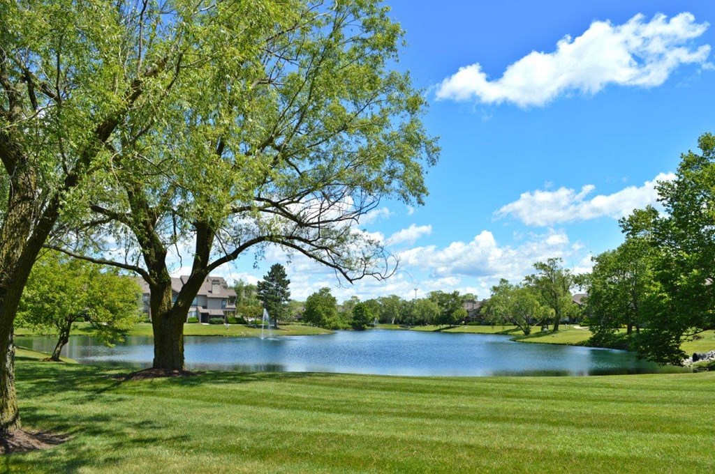 Willows of Coventry Apartments Fishing Pond