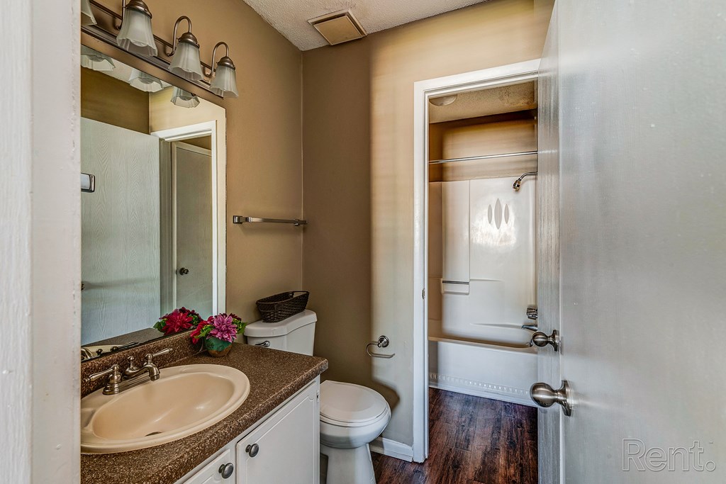 a bathroom with a sink and a toilet and a shower