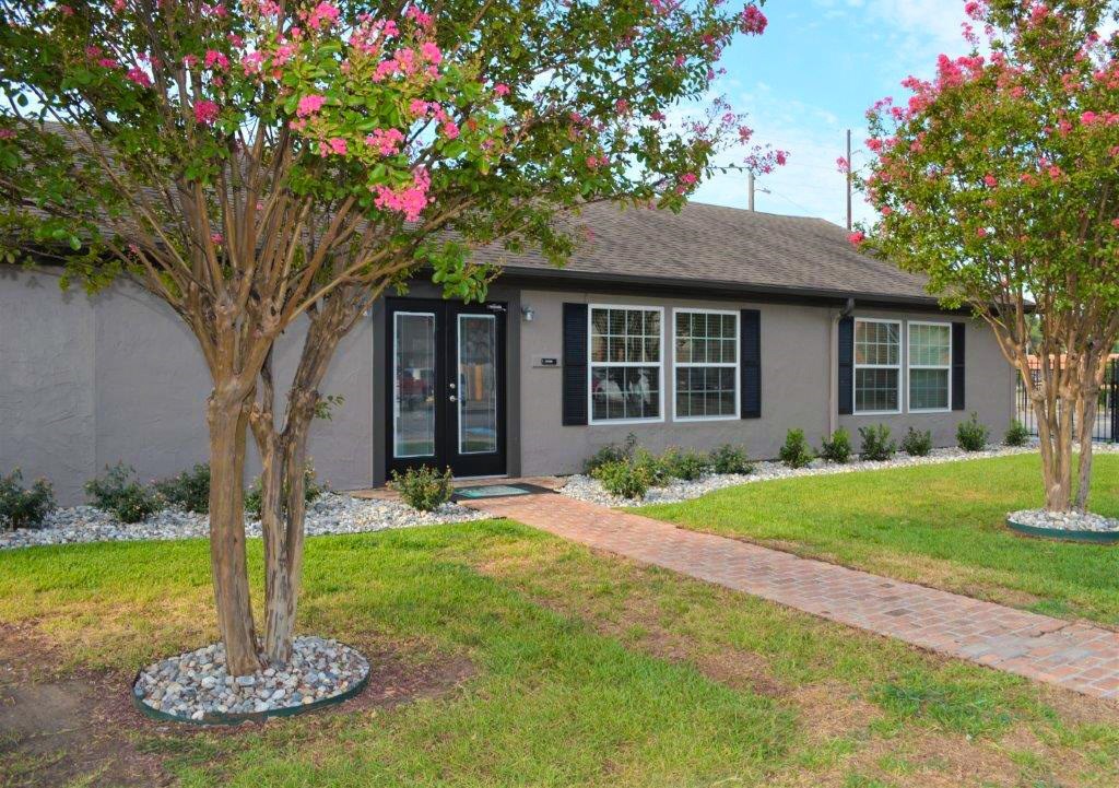 A house with a grey roof and a black door is surrounded by a garden with a tree and a brick pathway.